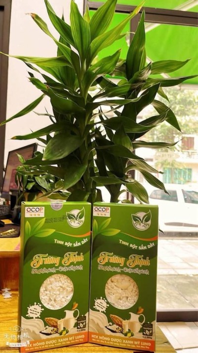 Bột sắn dây Trường Thịnh